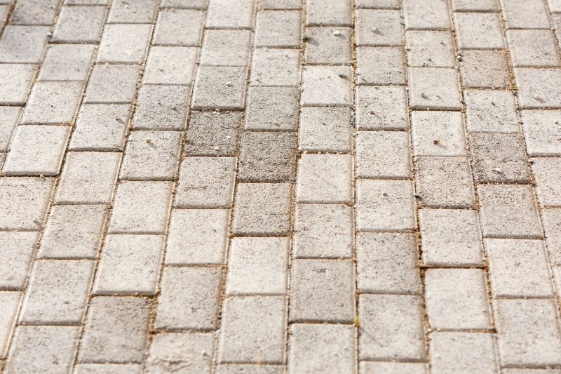 Elegant Paver Designs