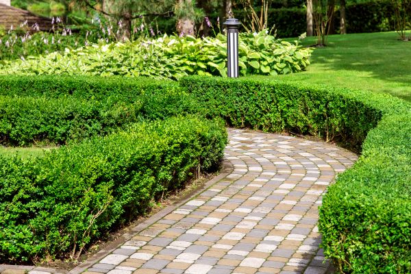 Cost of Paved Landscaping in Issaquah