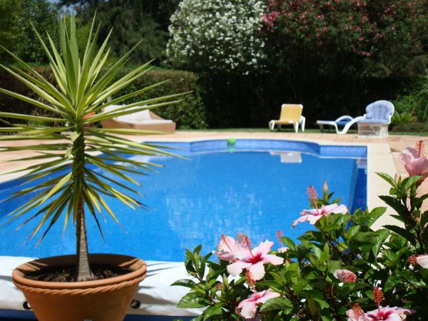 Cost of Pool Terrace Renovation in Issaquah