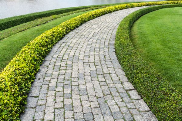 Sidewalk Pavers Installation in Issaquah